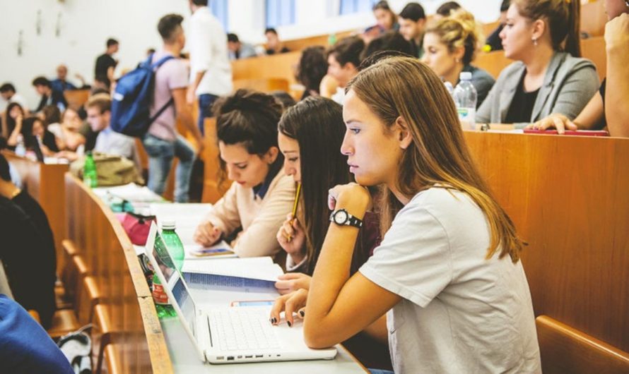 Купить диплом спортивного тренера в Алексеевке